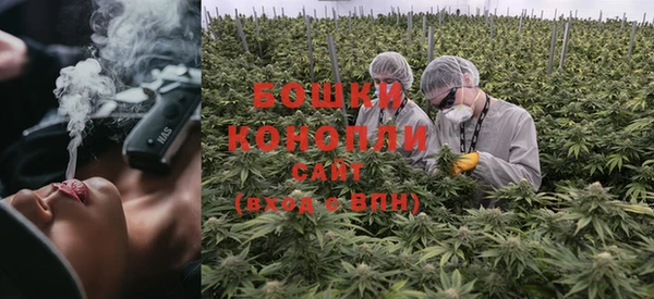 бутират Горняк