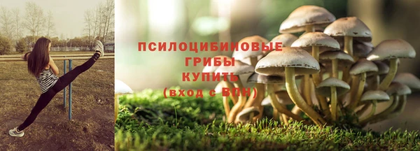 бутират Горняк